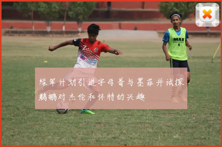 绿军计划引进字母哥与墨菲并试探鹈鹕对杰伦和怀特的兴趣
