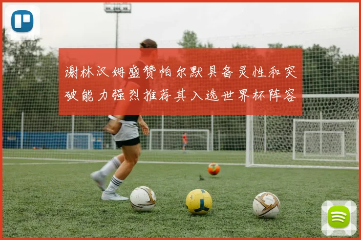 谢林汉姆盛赞帕尔默具备灵性和突破能力强烈推荐其入选世界杯阵容